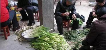 凉山吃瓜网红事件,揭秘网络舆论背后的真相与反思 第3张 凉山吃瓜网红事件,揭秘网络舆论背后的真相与反思 第3张